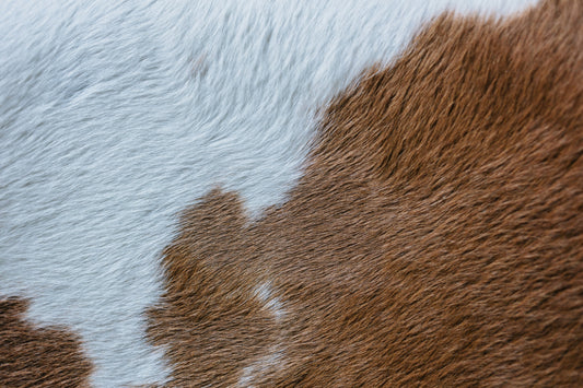 Luxury Lies in Location: Why Knowing Leather Cuts Matters